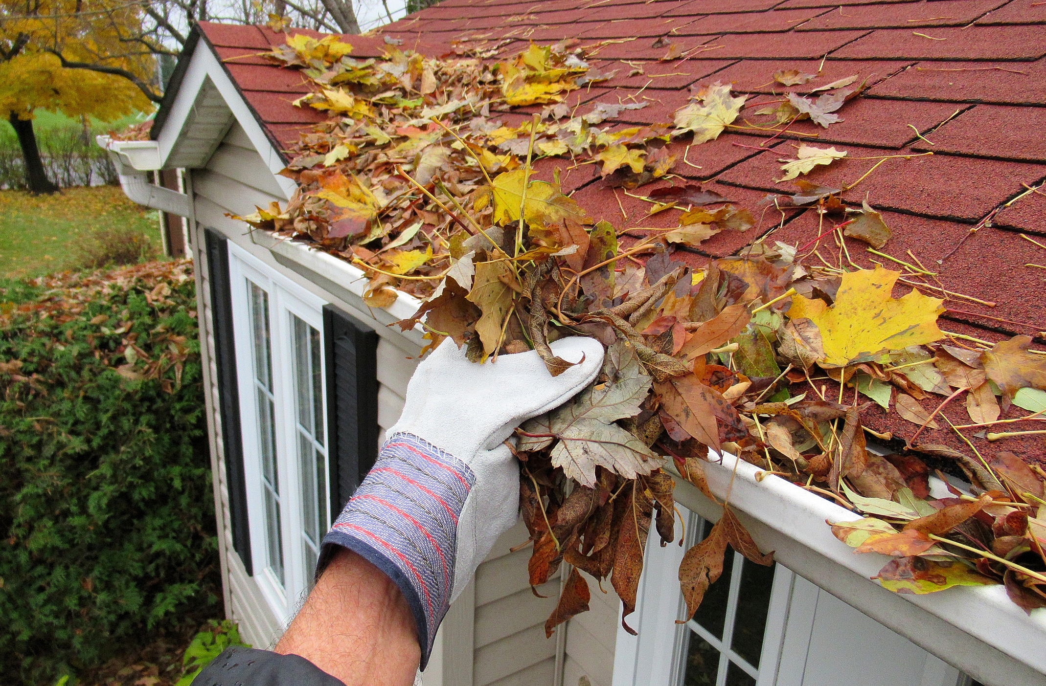 Professional gutter cleaning in Owensboro, Kentucky